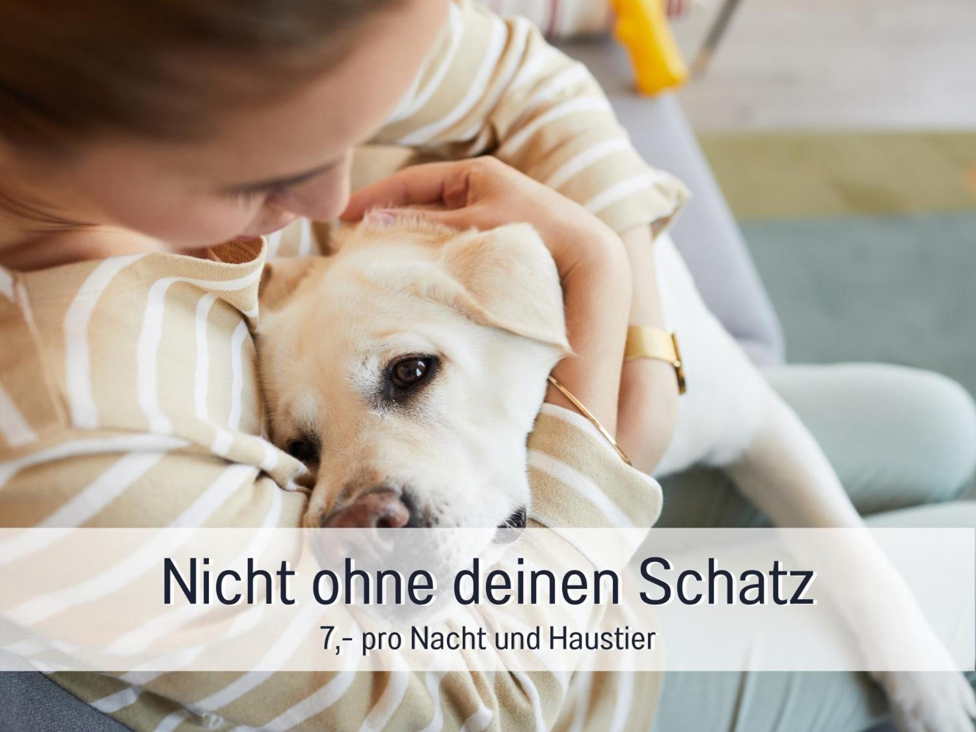 Ferienhaus Toepferhaus - Strandnah, Haustierfreundlich, Optimal Fuer Workation, Kaminofen, Garten, Fuer Paare Und Alleinreisende Steinberg  Εξωτερικό φωτογραφία