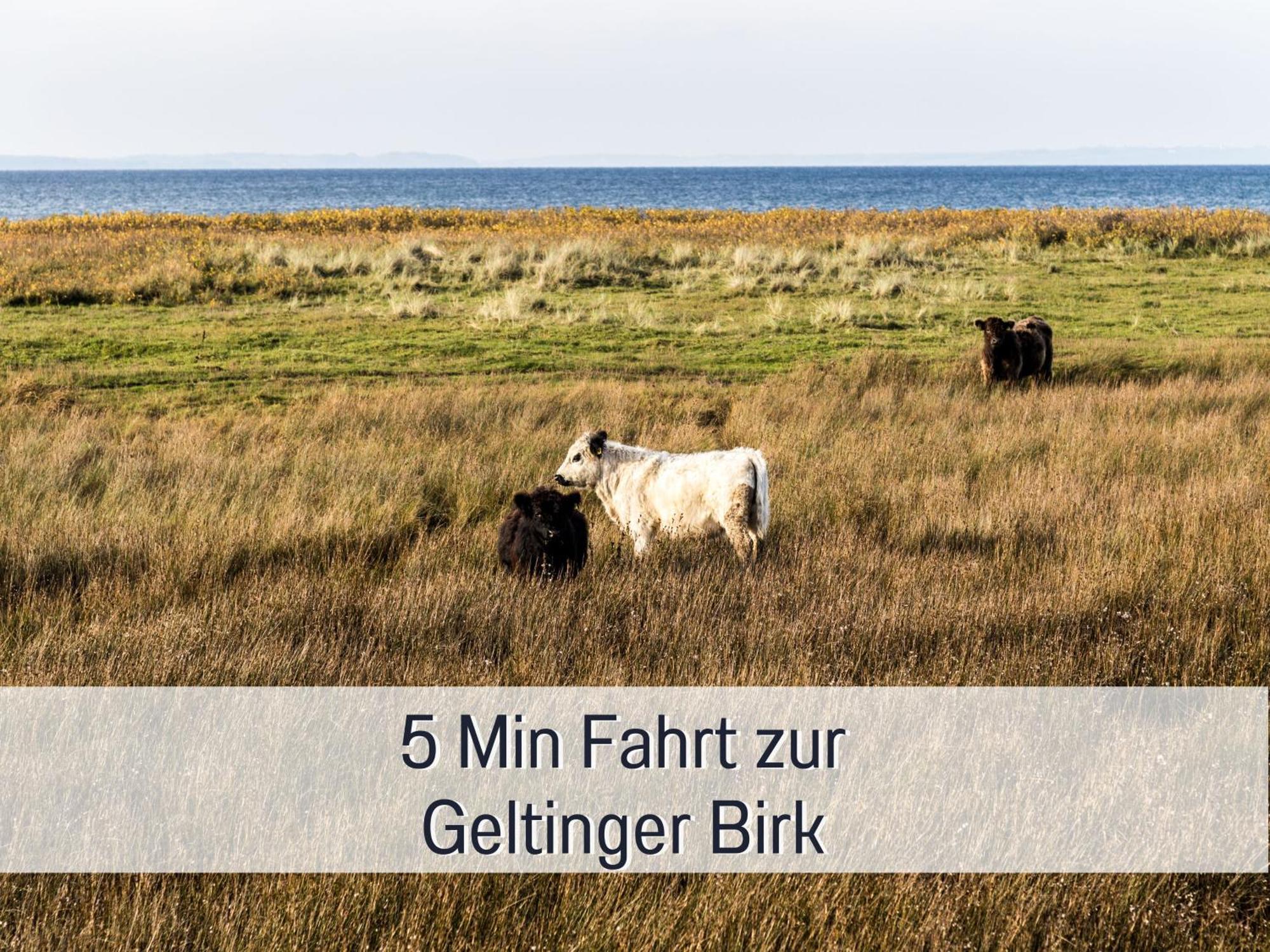 Ferienhaus Toepferhaus - Strandnah, Haustierfreundlich, Optimal Fuer Workation, Kaminofen, Garten, Fuer Paare Und Alleinreisende Steinberg  Εξωτερικό φωτογραφία
