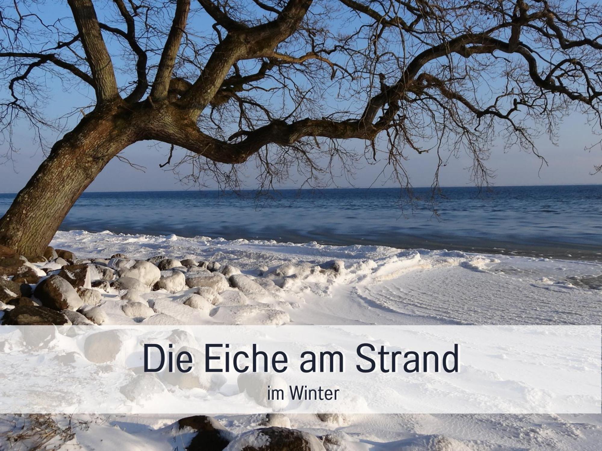 Ferienhaus Toepferhaus - Strandnah, Haustierfreundlich, Optimal Fuer Workation, Kaminofen, Garten, Fuer Paare Und Alleinreisende Steinberg  Εξωτερικό φωτογραφία